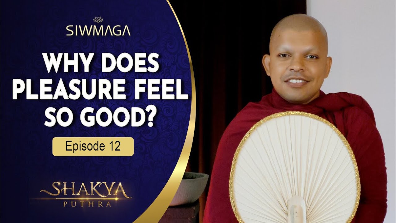 Why does pleasure feel so good? | Siwmaga Shakya Puthra - Children's Buddhist Programme