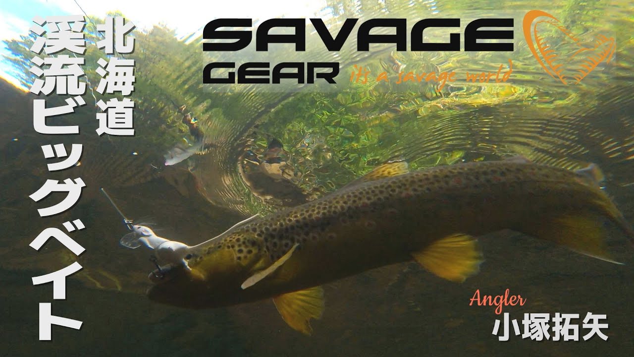 サベージワールド＃1  小塚拓矢【SAVAGE GEAR】渓流ビッグベイト