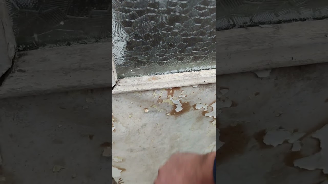 How to knock on a broken door #tutorial #lol #uselessfacts #absurd