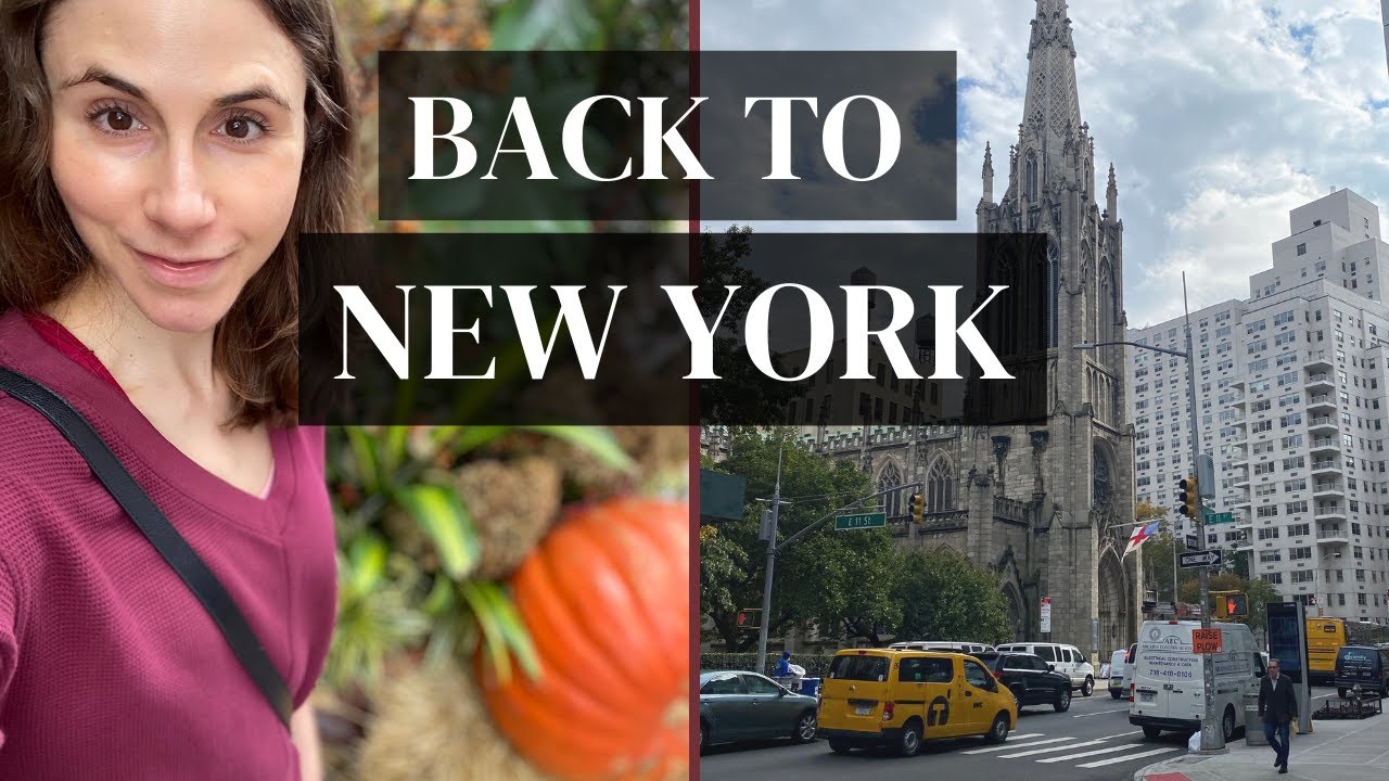 NYC Vlog🗽| Gansevoort Hotel 🏩 Chelsea Market 🍂 🛍 Shopping @Dr Dray