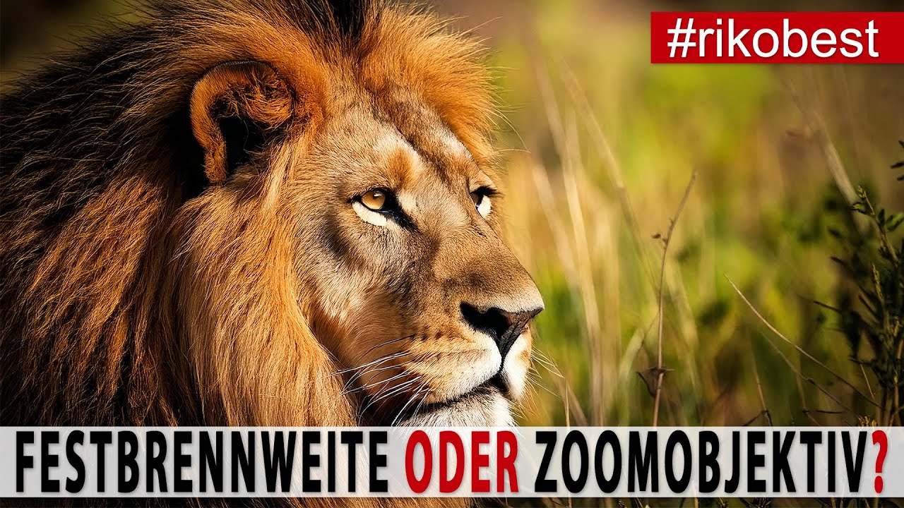 Zoomobjektiv oder Festbrennweite: Was du wissen musst, bevor du kaufst!