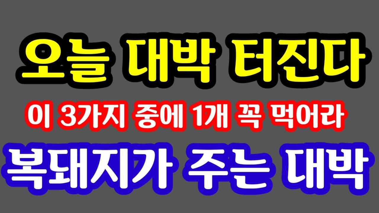 오늘 대박 터진다! 이 3가지 중에 1개 꼭 먹어라! 복돼지가 주는 대박 터진다