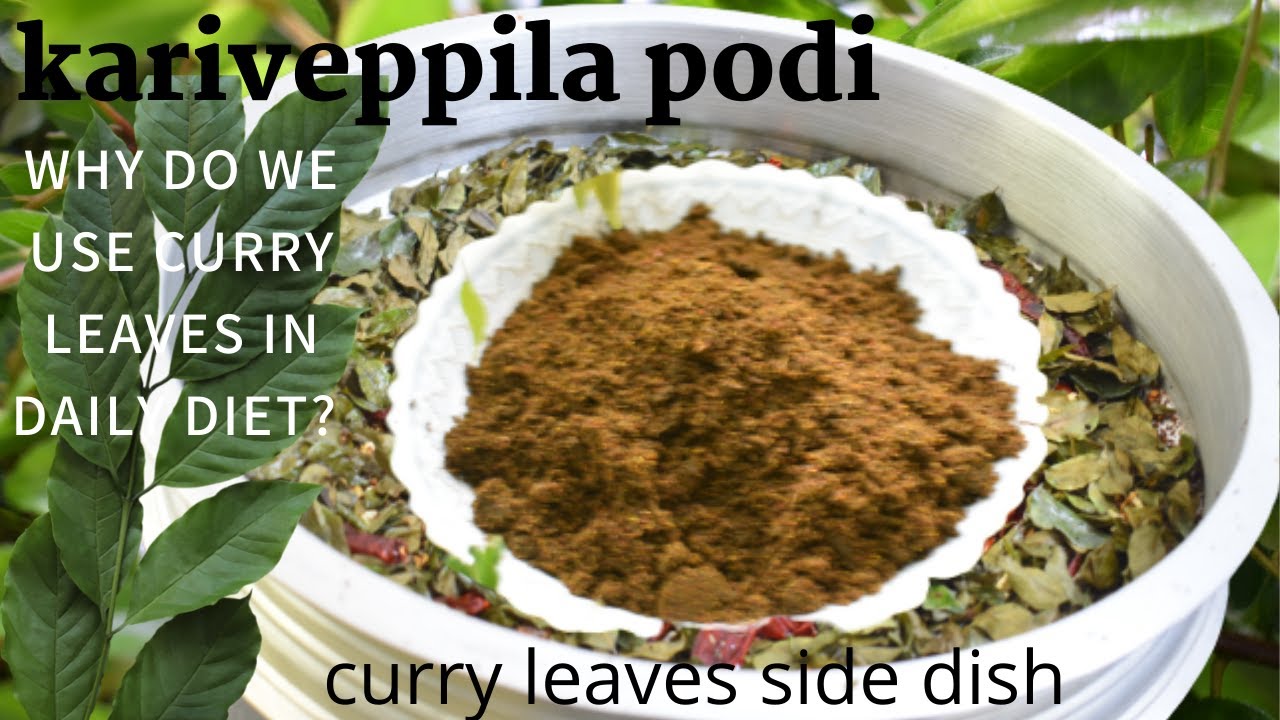 how to make kariveppila podi|curryleaves  podi|why should we take curry leaves daily|വേപ്പില പൊടി