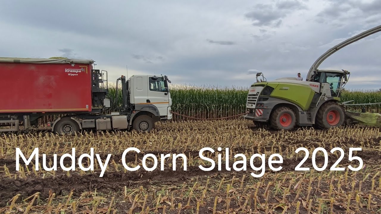 🌽 Muddy Corn Silage 🌽 Mokré siláže na Hané II. 🌧️ 🌽 4/4