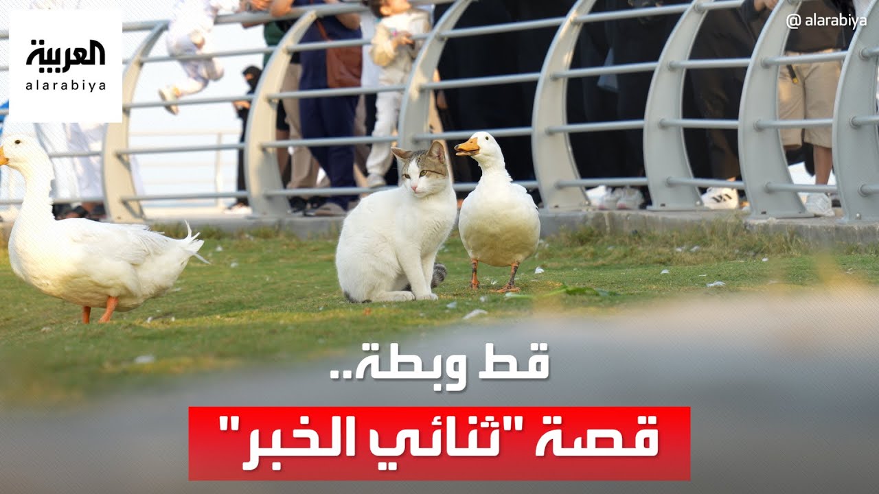 يتعانقان ويلعبان سوياً.. صداقة فريدة تجمع 