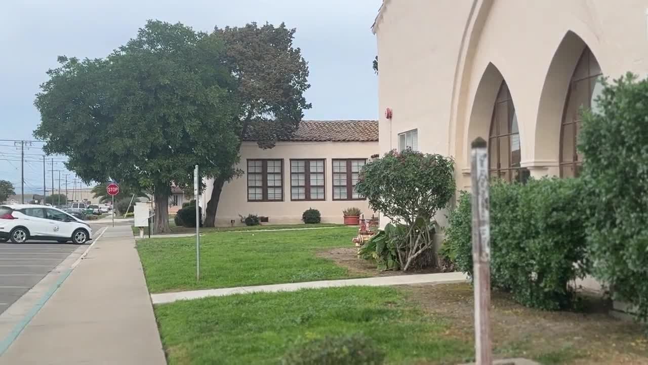 Guadalupe launches 40-year plan to restore lost urban tree canopy