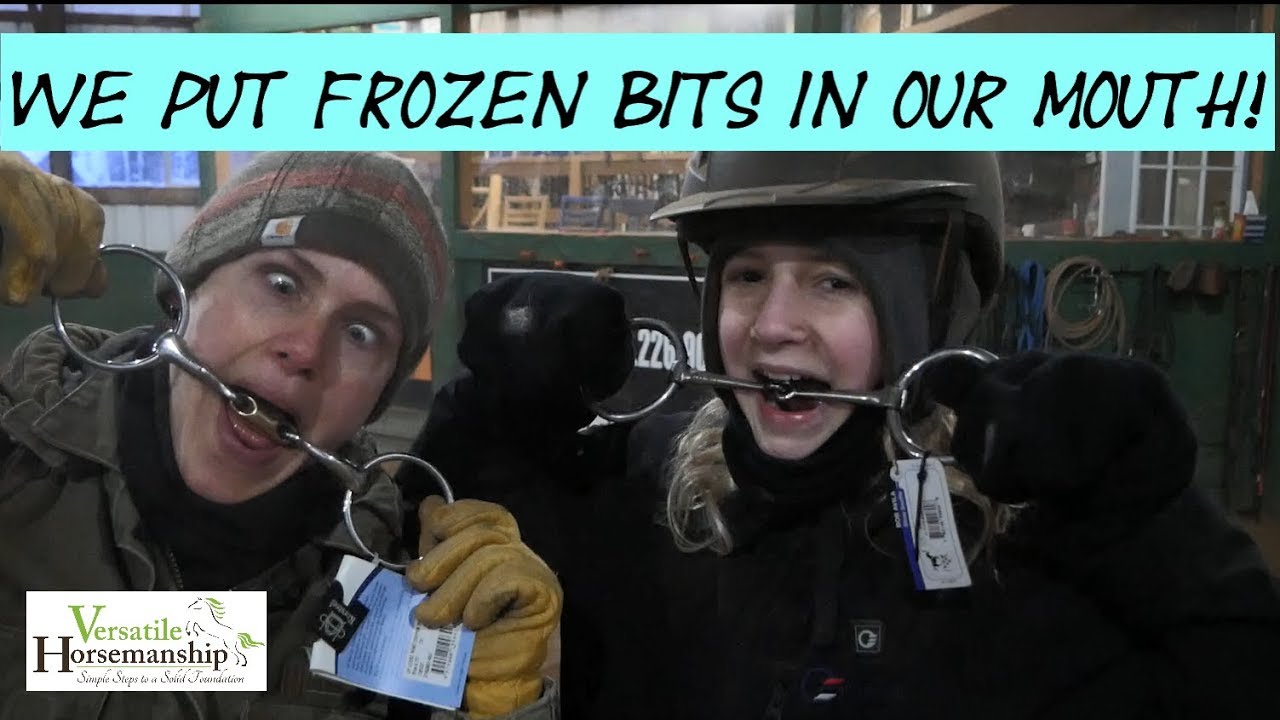 We put frozen bits in our mouth! 🥶❄️ // Versatile Horsemanship