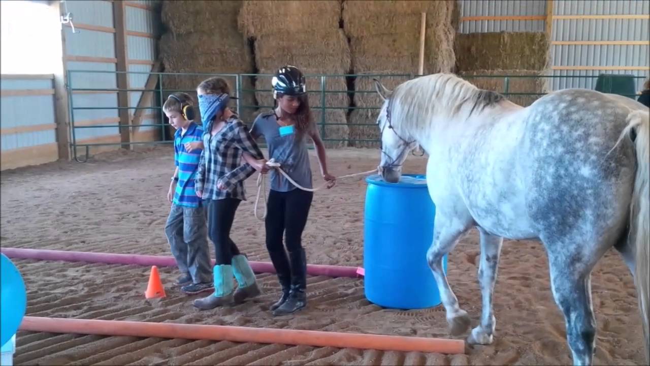 Equine Assisted Learning