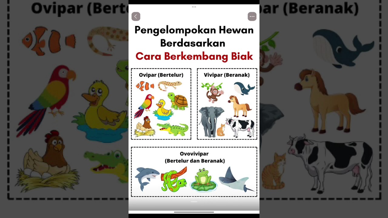 15 Februari 2026