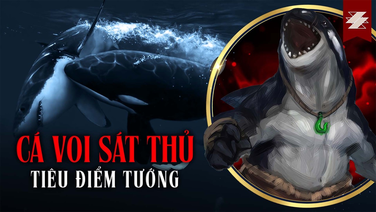 TIÊU ĐIỂM THÚ: CÁ VOI SÁT THỦ - CHÚA TỂ ĐẠI DƯƠNG XANH | SAMURICE