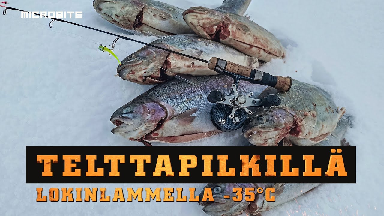 Telttapilkit yhden reiän taktiikalla Lokinlammella -35°c pakkasessa