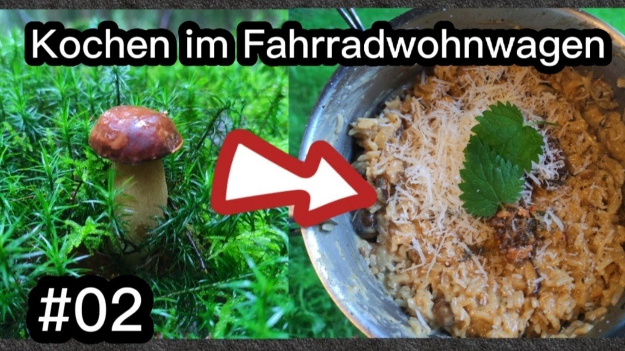 😋Kochen im Fahrradwohnwagen #02 Pilzrisotto aus frisch gesammelten Pilzen aus dem Wald [german]