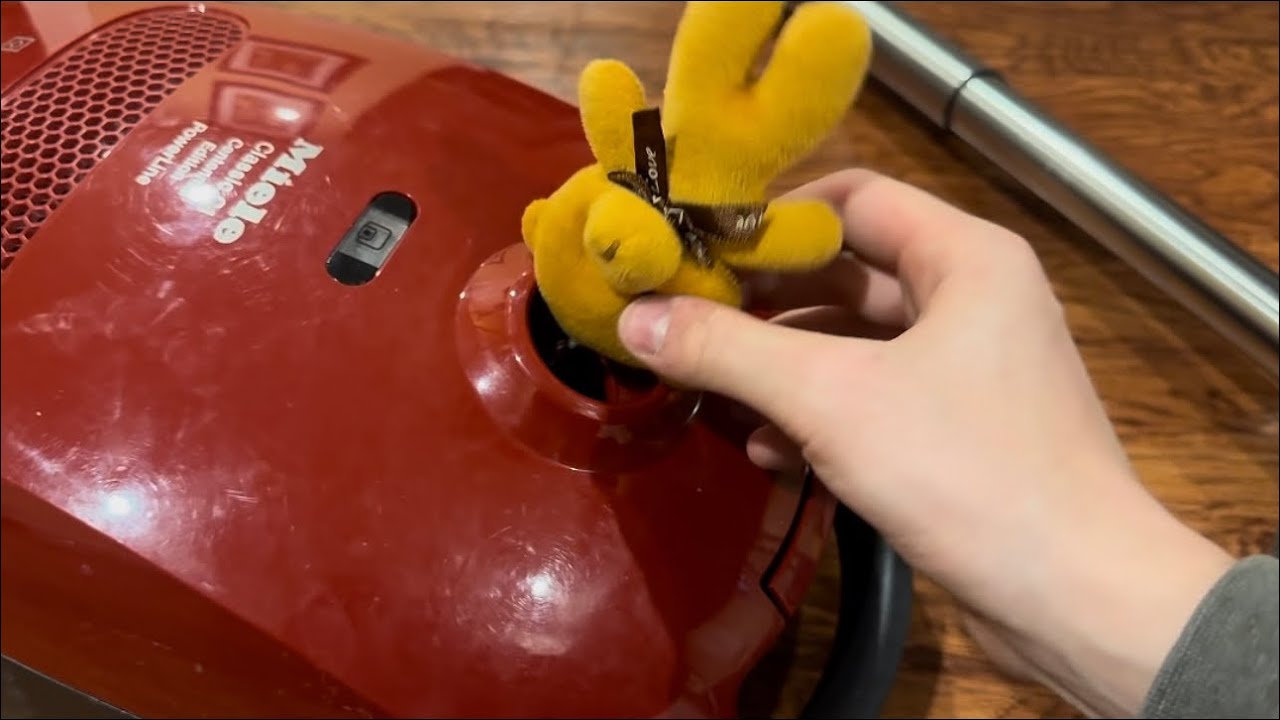 Whoopsie! The bear gets sucked in by the Miele!🥰🤭🙈(Bag dump)