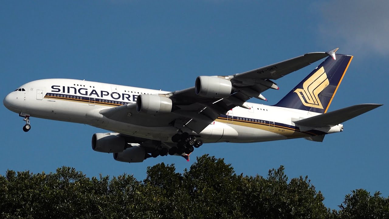50架次、40家航空｜🇸🇬新加坡樟宜機場飛機起降精華｜Plane Spotting at Singapore Changi Airport (SIN/WSSS)