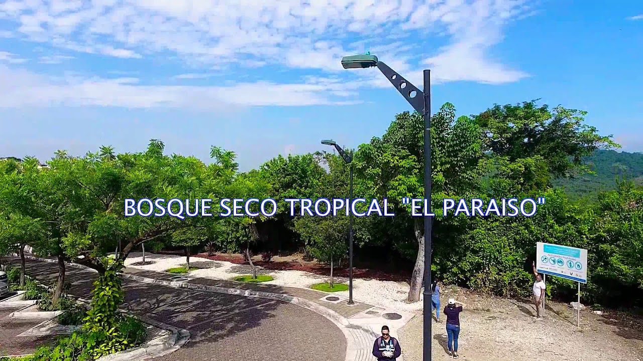 Bosque Seco Tropical El Paraiso