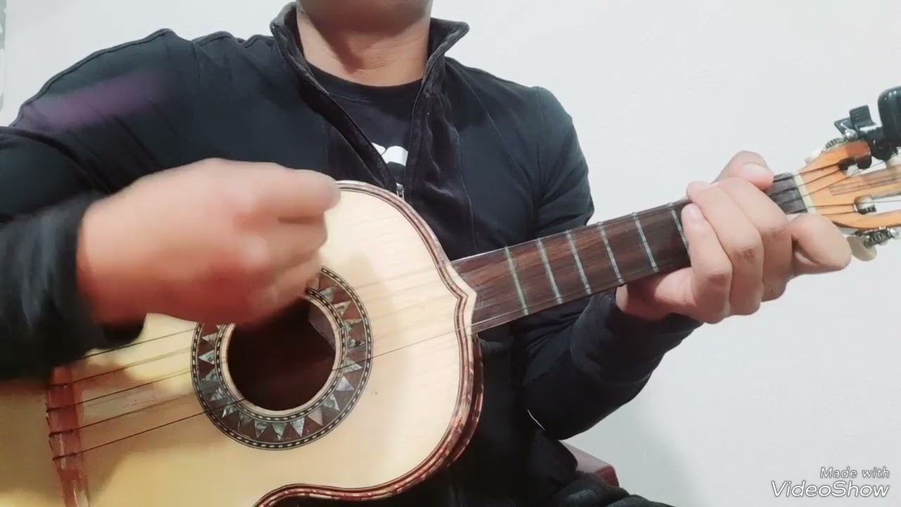 Sin un amor // Vicente Fernández// Vihuela.