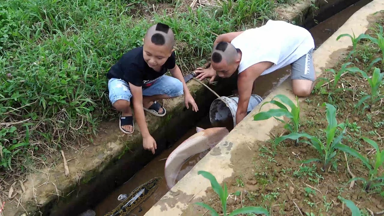 Một Buổi Bắt Cá Đêm Cùng Mao Đệ - Không Ngờ Mương Bé Vậy Mà Lại Nhiều Cá Đến Thế