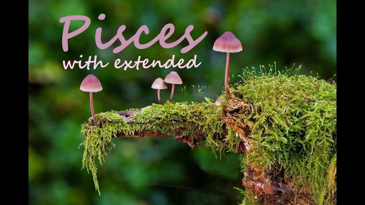 PISCES Timeless Love tarot (April) - WOW! Get ready for this ... it's happening!!