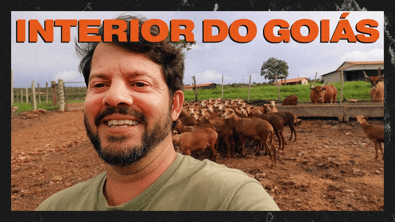 ESSA CARNE MUDOU TUDO O QUE EU SABIA SOBRE CARNE BRASILEIRA  (Documentário)