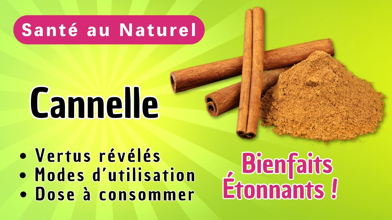 Pourquoi la Cannelle Est-elle une Épice Incontournable pour votre Santé ?