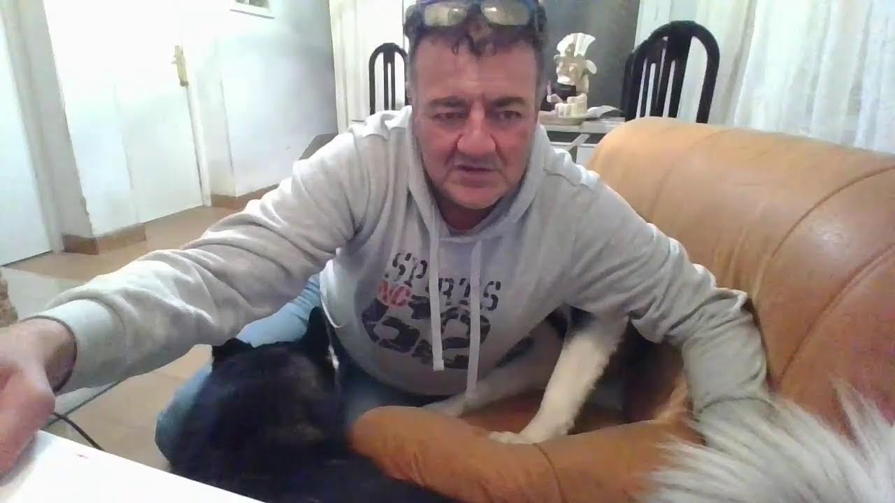 MIS PERROS MAX Y BOMBÓN SOLOS EN CASA  ¿Qué hacen? live youtube CAMARA OCULTA