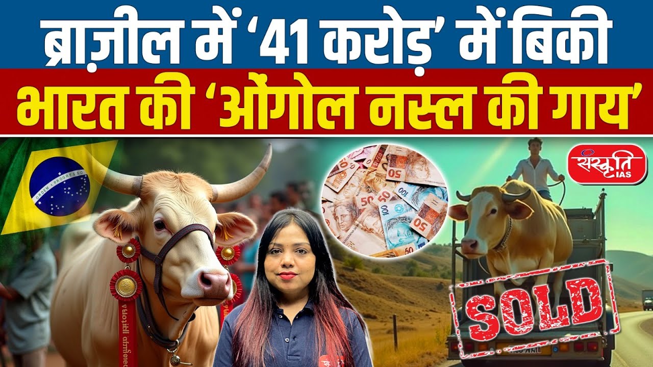 Ongole Breed Cow: India's Precious Heritage & World Record Holder for Rs 41 Crore | Sanskriti IAS
