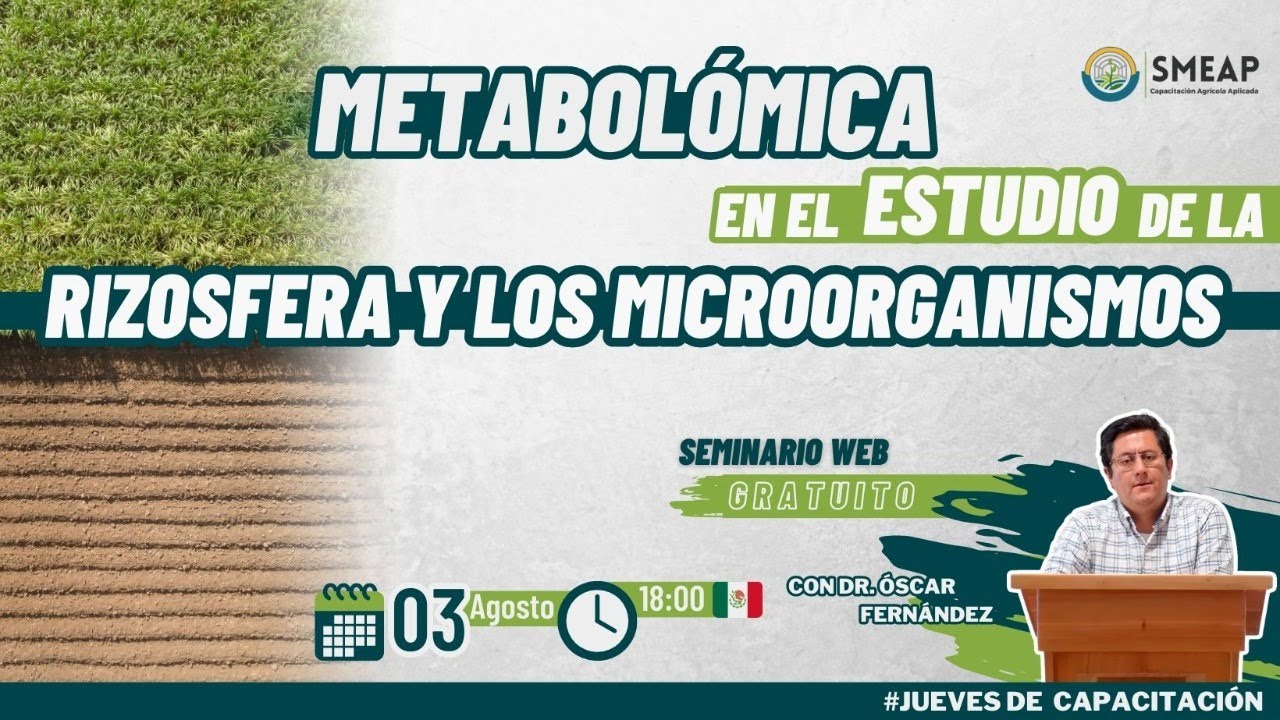 Metabolómica en el Estudio de la Rizósfera y Microorganismos