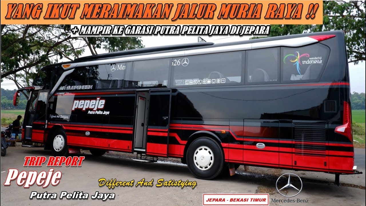 NYOBAIN BUS ASLI JEPARA YANG BARU BUKA LINE REGULER !! | Trip Report Pepeje | Jepara-Bekasi