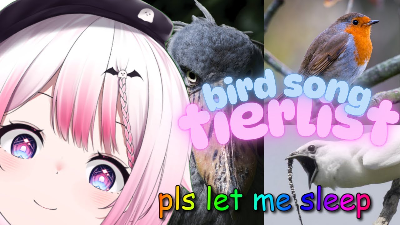 Bird song tierlist because I keep getting woken up at 2am