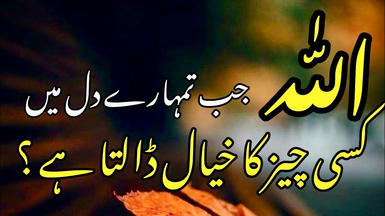 ALLAH JAB TUMHARE DIL MEIN KISI CHIZ KA KHAYAL DALTA HAI || spiritual quotes collection 