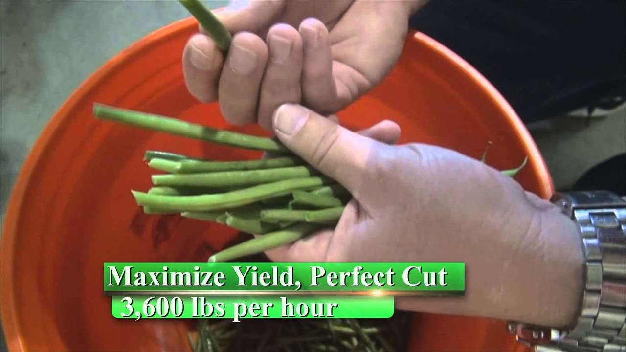 Waterjet Cutting Green Bean Calyx