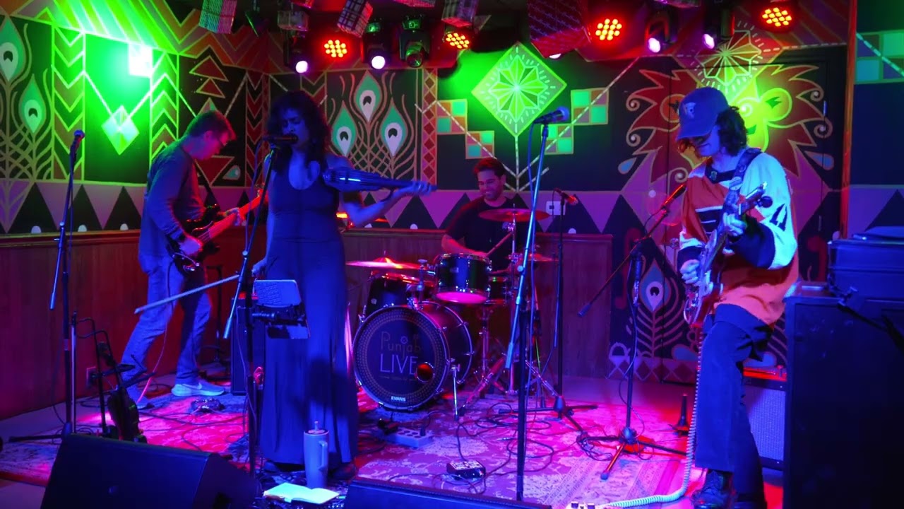 Barracuda by @si.violin and the Multitudes Band
