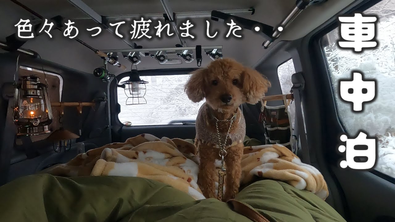 【シエンタで車中泊】潜って救出⁈　ハプニング続きの犬連れ車中泊
