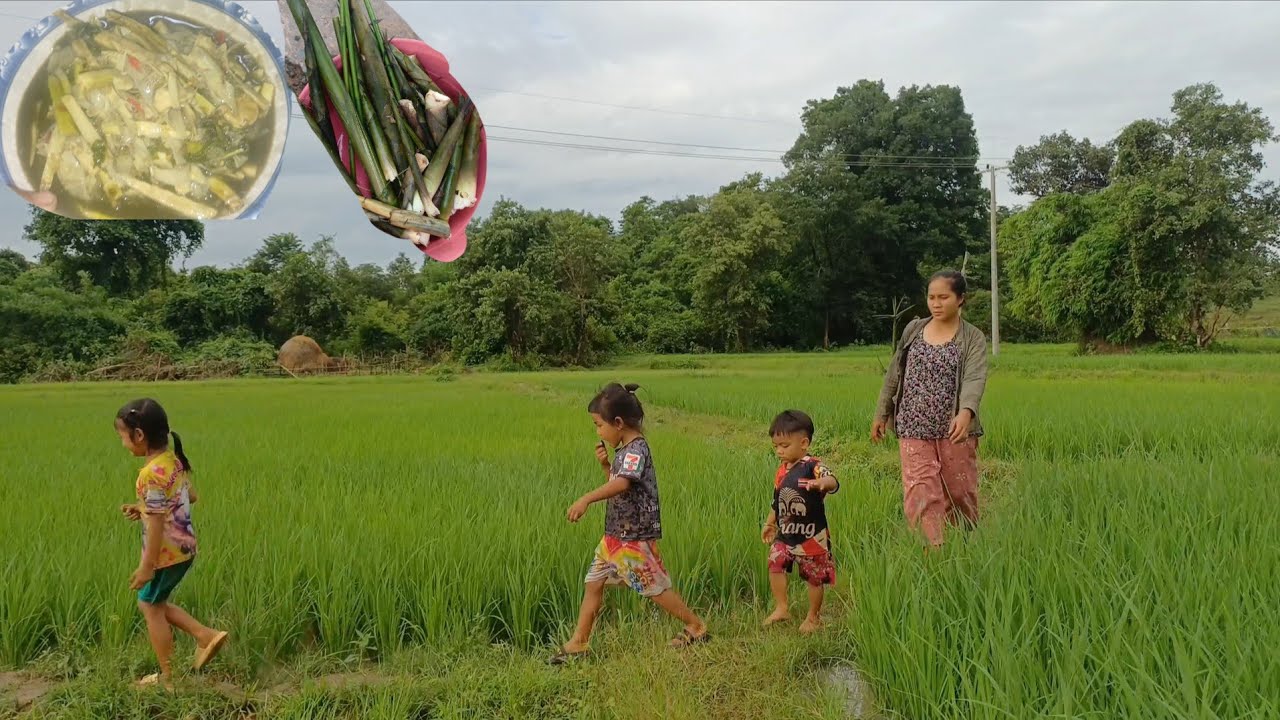 29 กรกฎาคม ค.ศ. 2025