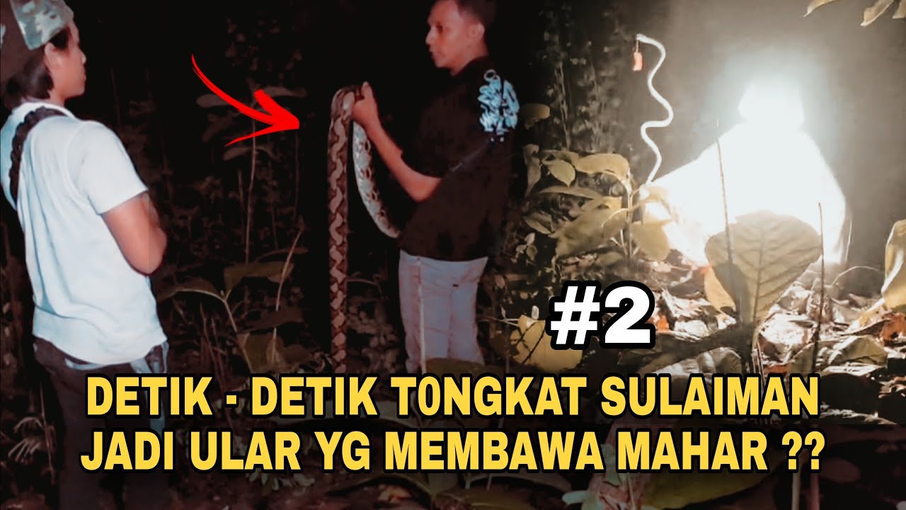 🔴 Apakah ini ⁉️ Wujud mahar nabi sulaiman yg hilang sejak 6 ribu gerhana bulan , yg di telan ular ⁉️