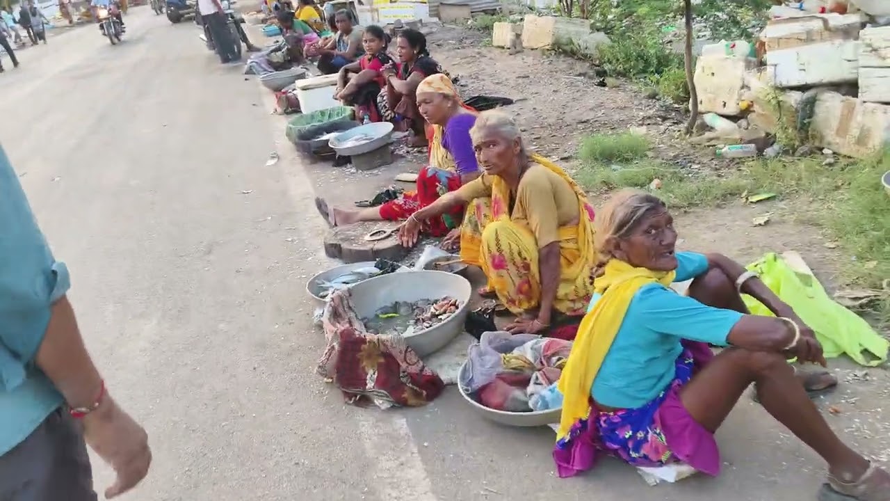 hasot bazar road machi market palva modan hilsa fish 🐠