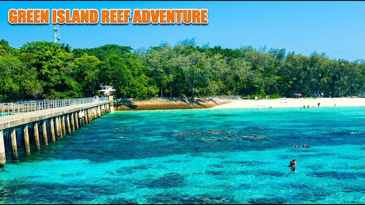First Time at the Great Barrier Reef - This Surprised Us Most