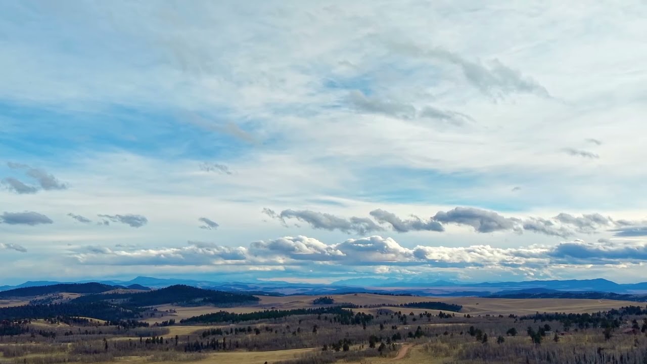 Moving Still Life Pike National Forest South Park Colorado Feb 11, 2026