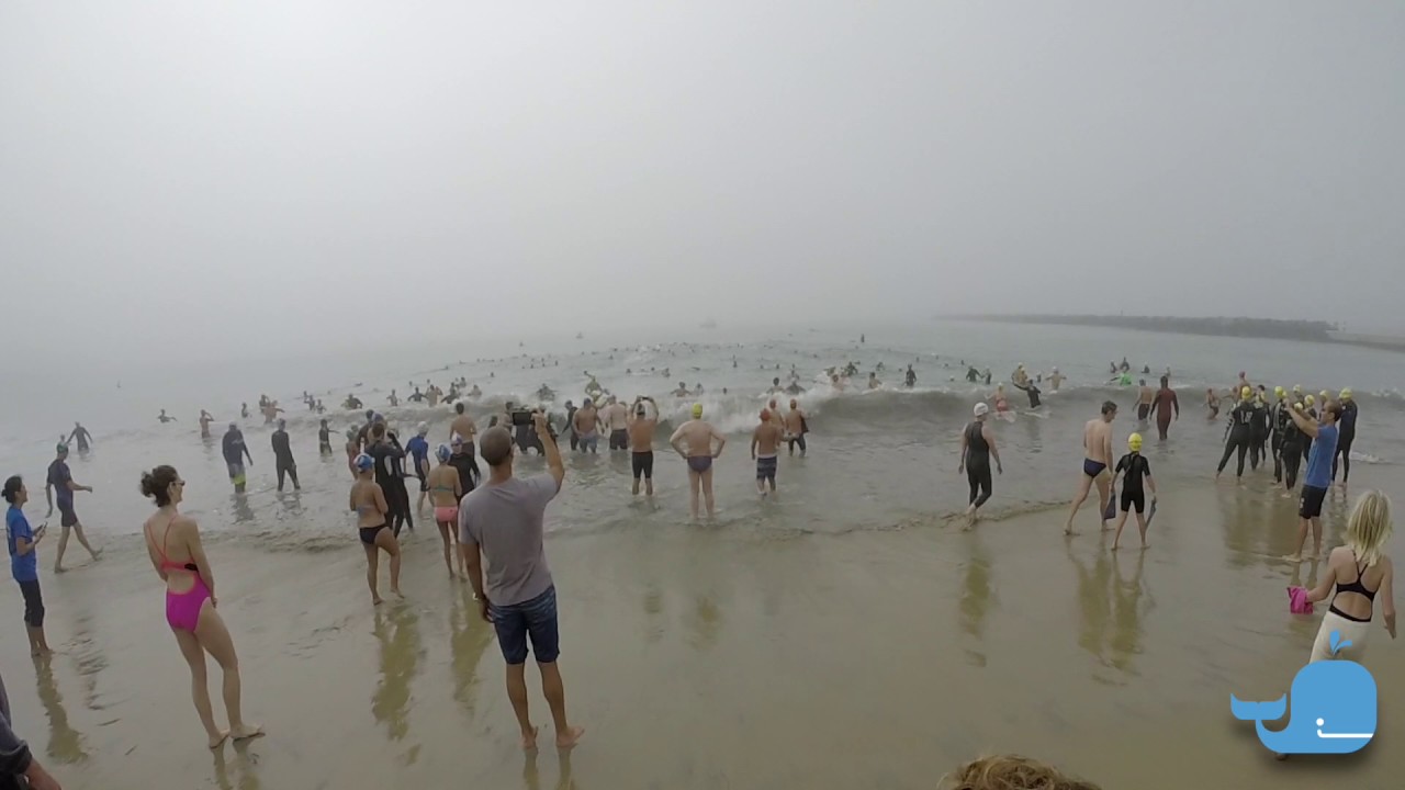 SwimForLife