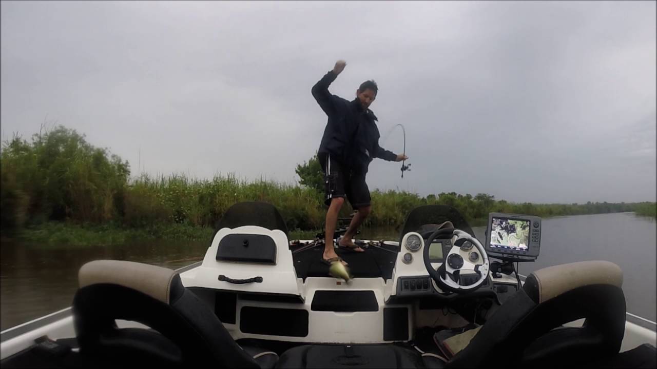 Bass Assassins promo