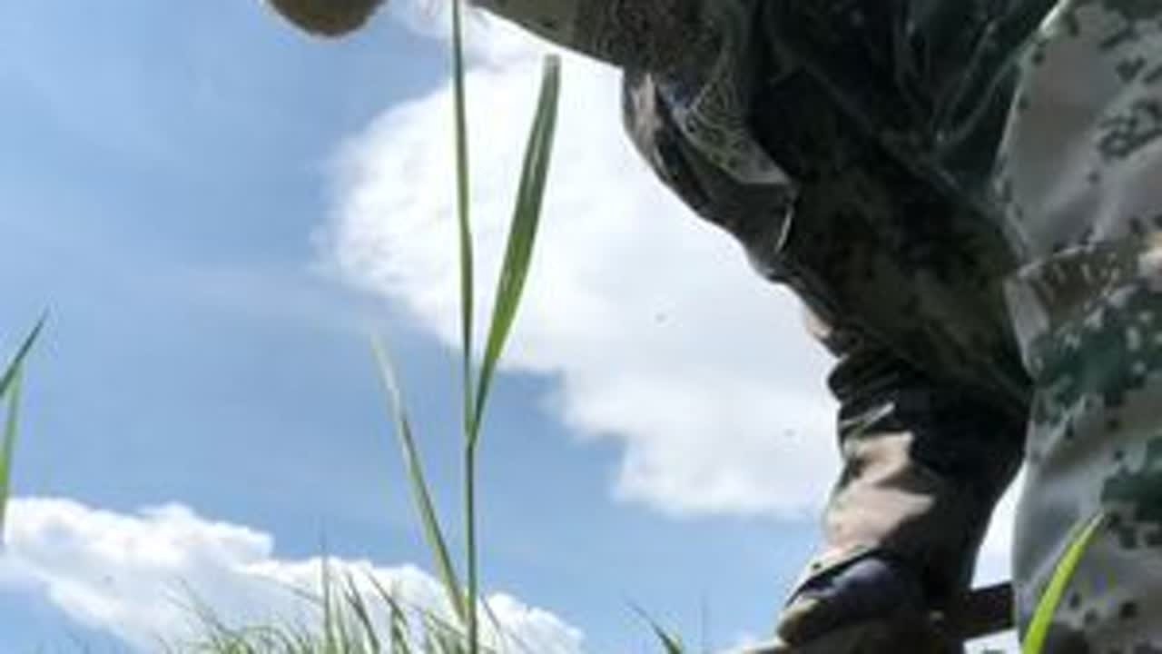今天太热了，这地方的草太好了，一个小时割一车，这回够吃几天了……#记录我的农村生活 #辛勤劳动者 #小绿草