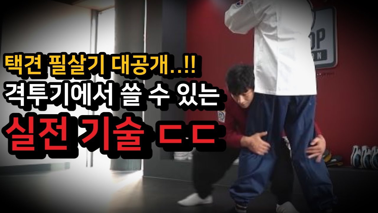 실전 무술 택견 필살기 ㄷㄷ 격투기에서 사용할 수 있는 살벌한 기술 !!! (feat. 황인무 선생님)