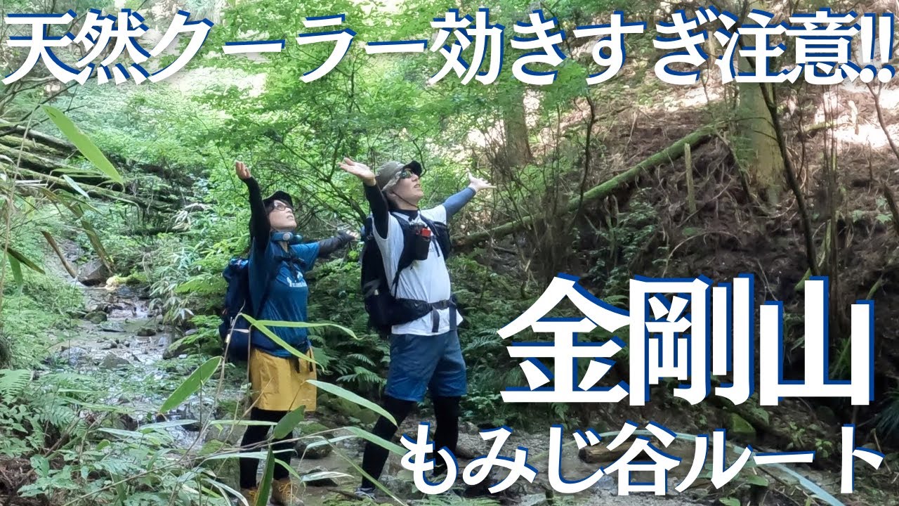 金剛山 もみじ谷ルートを徹底解説、あの噂のドラゴンも登場!! ヘタレ夫婦登山Vol.63