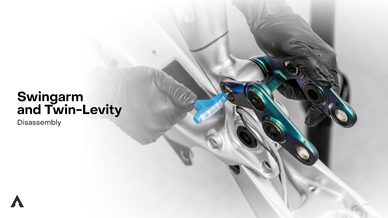 Swingarm and Twin-Levity disassembly - Forestal Bikes support