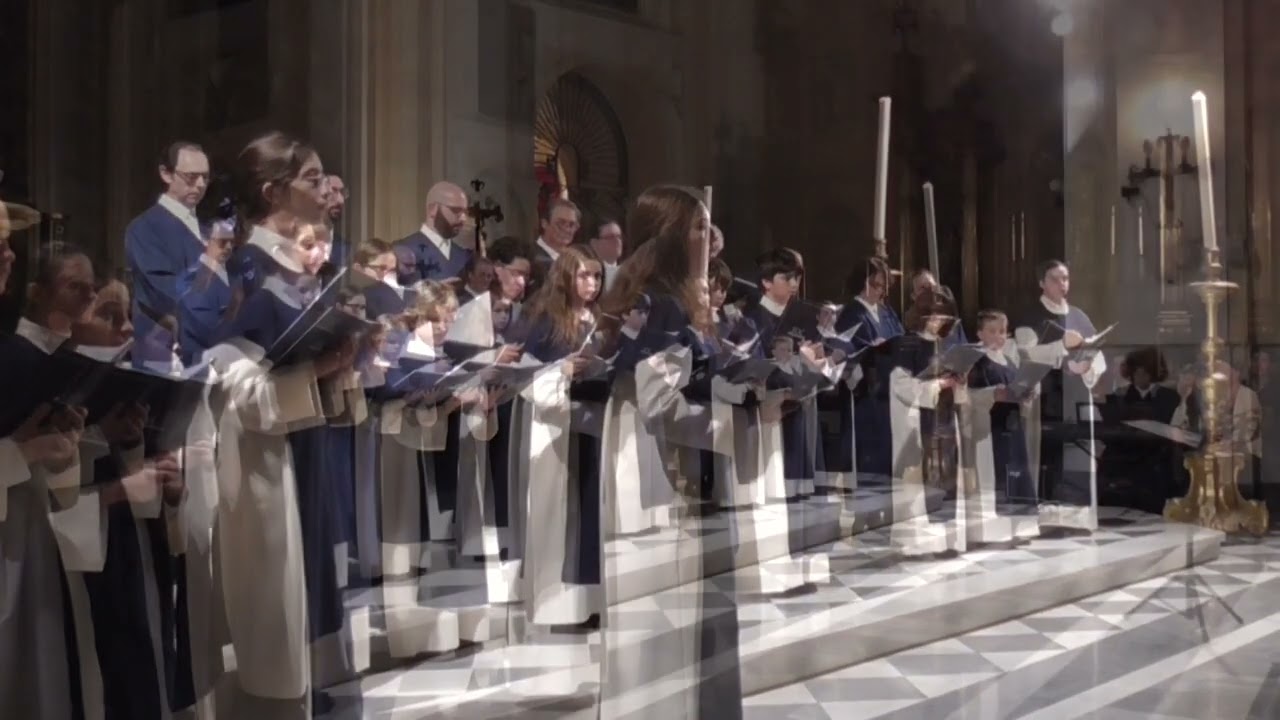 Panis Angelicus (César Franck) - Escolanía Domus Carmina