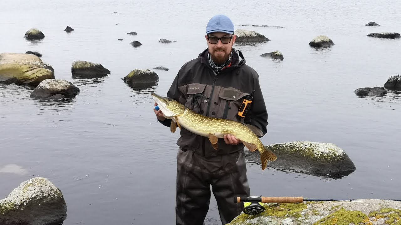 Fliegenfischen auf Hecht in Schweden