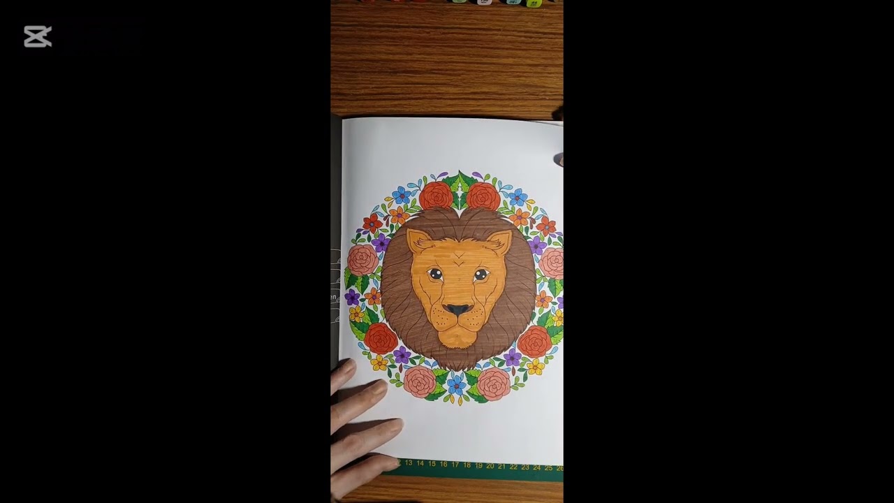 mijn volgekleurde boeken van 2024