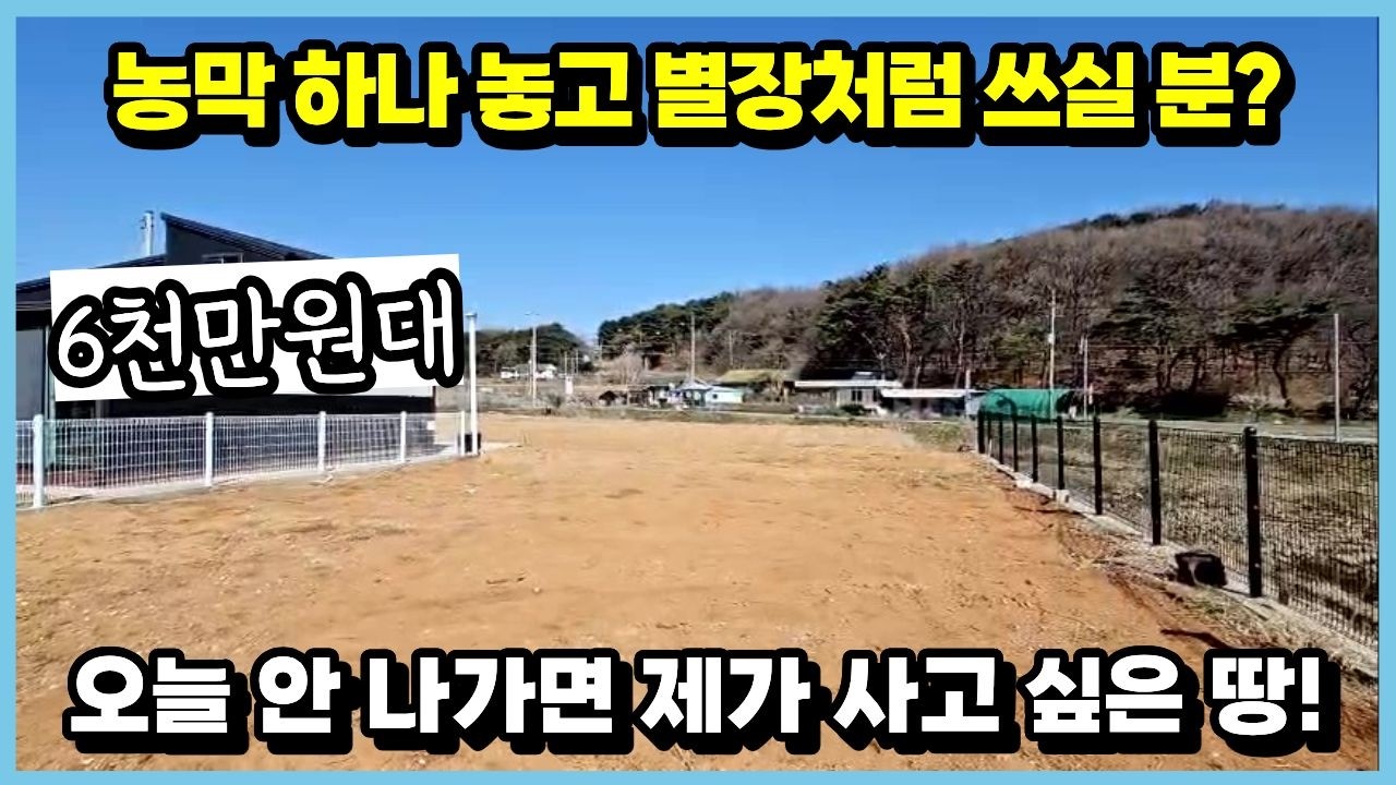 634 오늘 안 나가면 제가 사고 싶은 땅, 인화리, 개발행위, 6천대, 강화부동산, 강화 싼땅, 강화군 토지