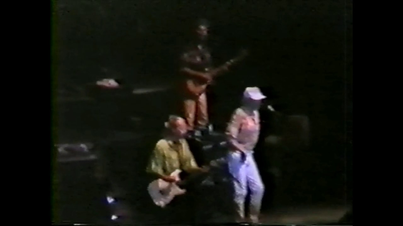 The Beach boys Live '90　Island Girl