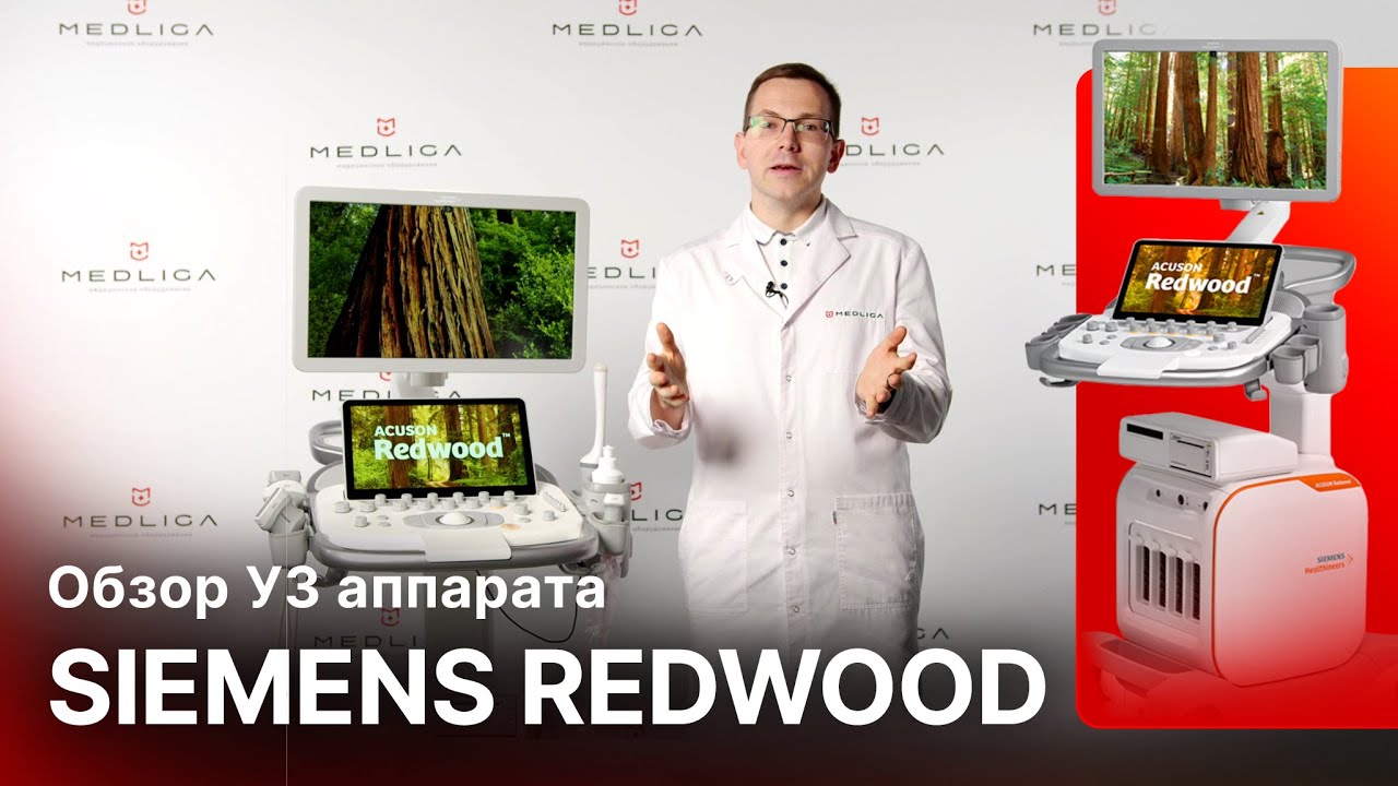 Обзор УЗИ аппарата Siemens Acuson Redwood